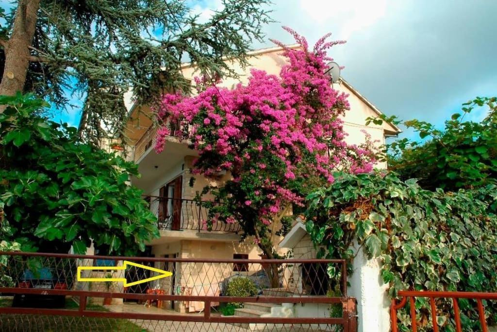 Apartment Ribica Slatine Bagian luar foto